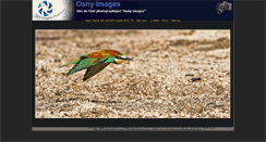 Desktop Screenshot of osnyimages.com