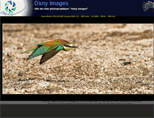 Tablet Screenshot of osnyimages.com